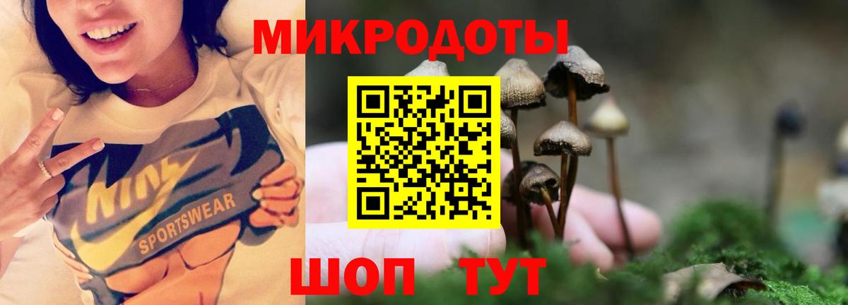 Псилоцибиновые грибы мухоморы Карпинск
